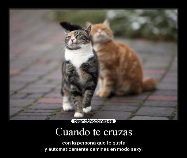 Cuando te cruzas - con la persona que te gusta
y automaticamente caminas en modo sexy.