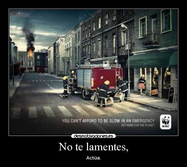 No te lamentes, -