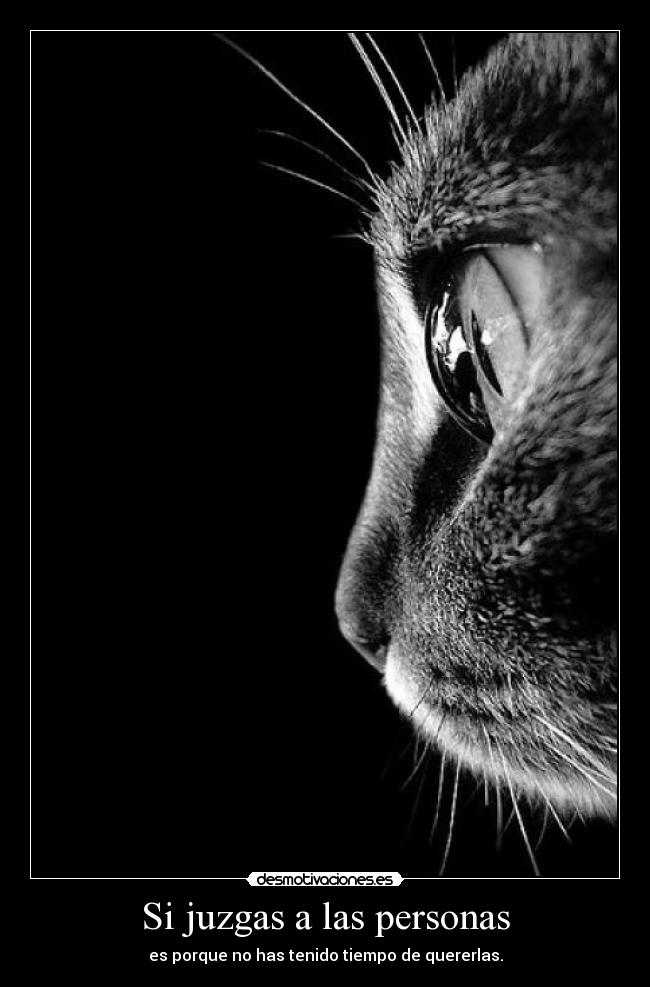 Si juzgas a las personas - es porque no has tenido tiempo de quererlas.