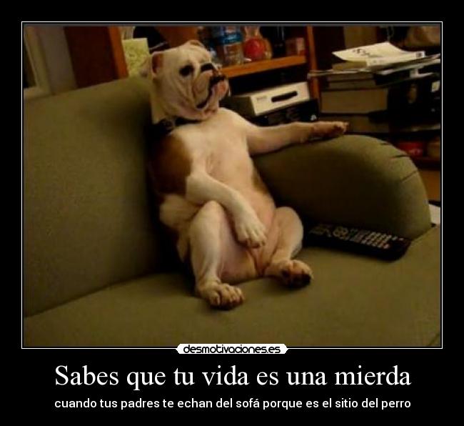 carteles vida rapyeah kako chaval desmotivaciones