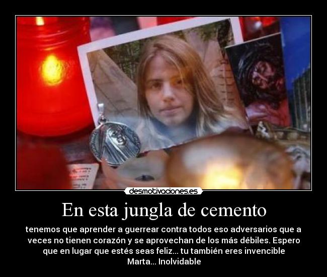 En esta jungla de cemento - 