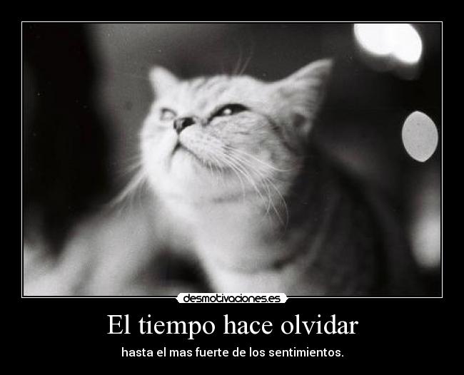 El tiempo hace olvidar -