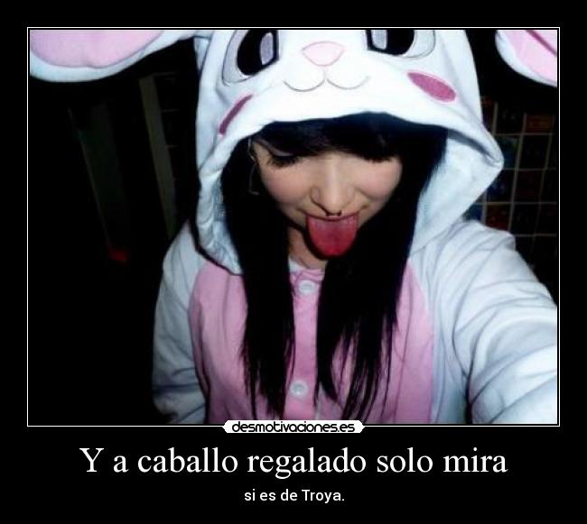 Y a caballo regalado solo mira - 