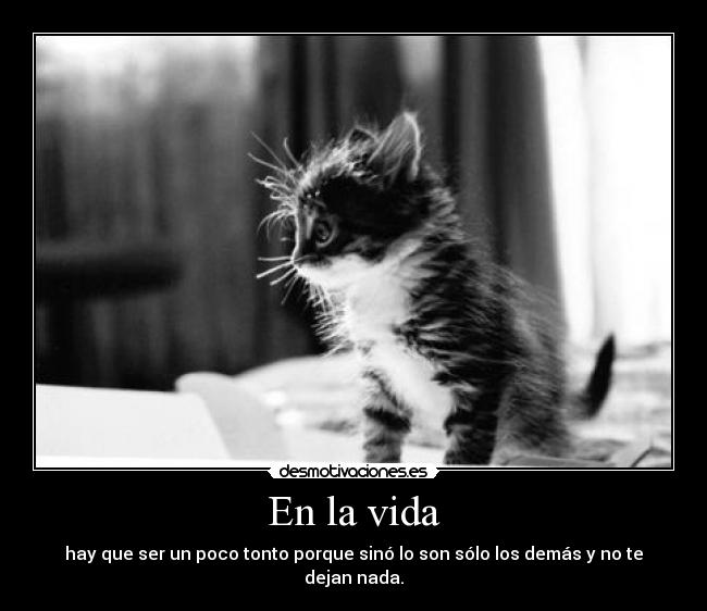 En la vida - hay que ser un poco tonto porque sinó lo son sólo los demás y no te dejan nada.