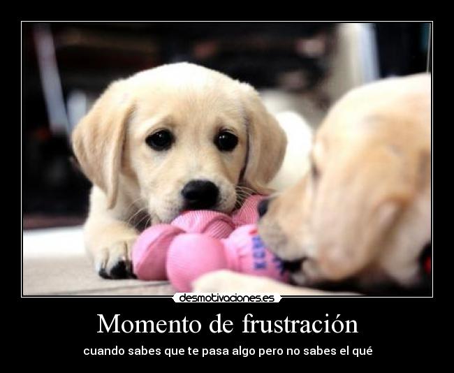 Momento de frustración - cuando sabes que te pasa algo pero no sabes el qué