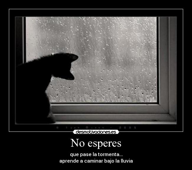 No esperes - que pase la tormenta...
aprende a caminar bajo la lluvia