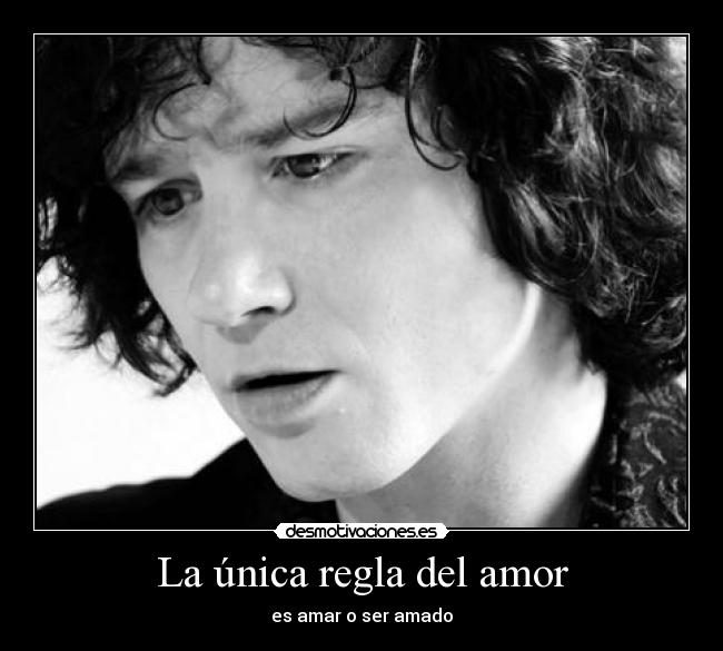 carteles amor unica regla del amor desmotivaciones