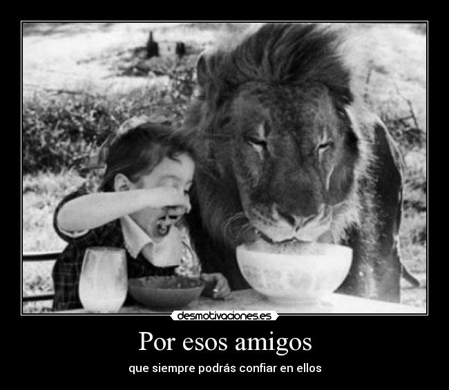 Por esos amigos -