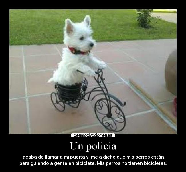 Un policia - acaba de llamar a mi puerta y me a dicho que mis perros están
persiguiendo a gente en bicicleta. Mis perros no tienen bicicletas.
