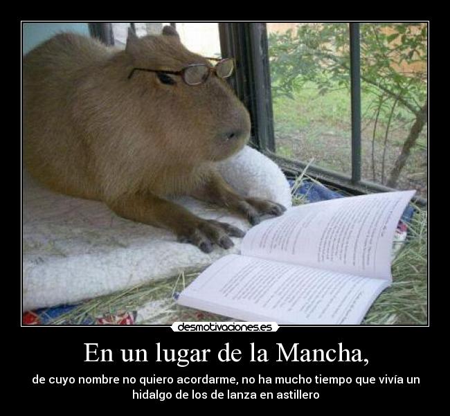 carteles lectura desmotivaciones