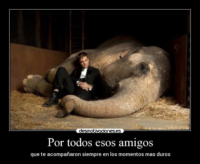 Por todos esos amigos -