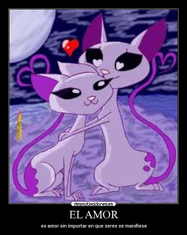 carteles amor gatos desmotivaciones