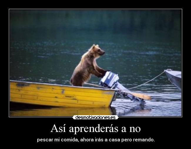 carteles laura anyi sonrisita desmotivaciones