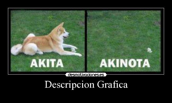 Descripcion Grafica -