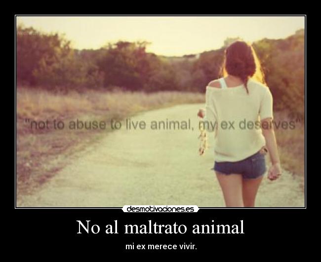 No al maltrato animal - 