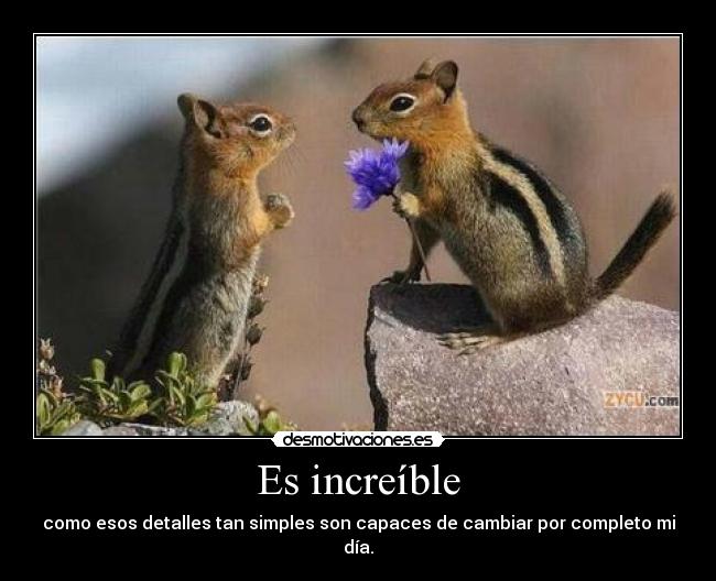 Es increíble - como esos detalles tan simples son capaces de cambiar por completo mi día.