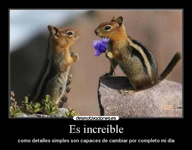 Es increíble - como detalles simples son capaces de cambiar por completo mi día