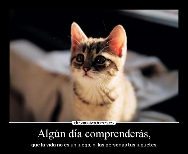 Algún día comprenderás, -