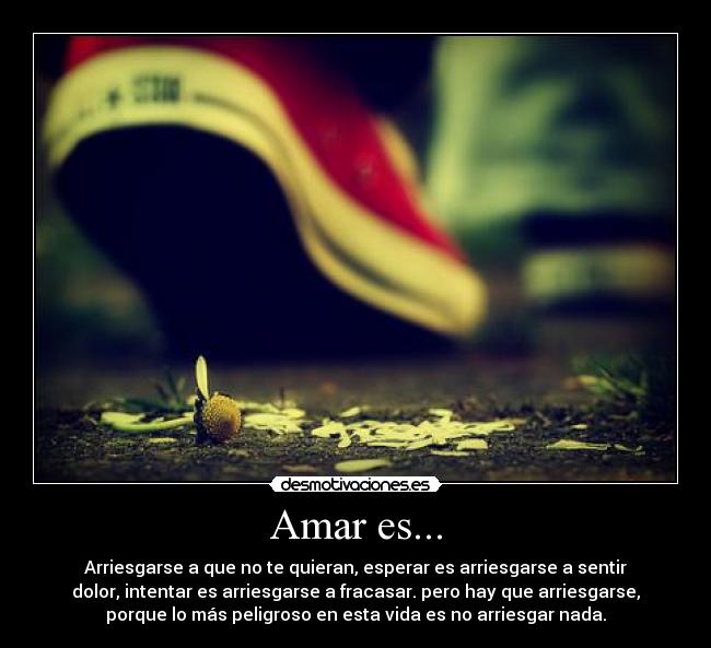Amar es... - Arriesgarse a que no te quieran, esperar es arriesgarse a sentir
dolor, intentar es arriesgarse a fracasar. pero hay que arriesgarse,
porque lo más peligroso en esta vida es no arriesgar nada.