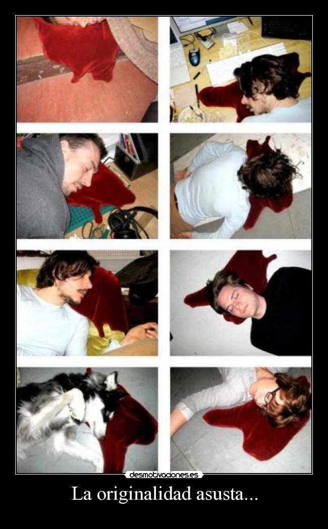 carteles sigueme twitter cuenta lgns desmotivaciones