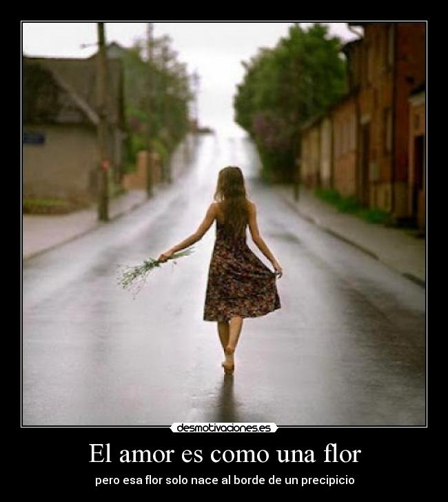 El amor es como una flor - pero esa flor solo nace al borde de un precipicio