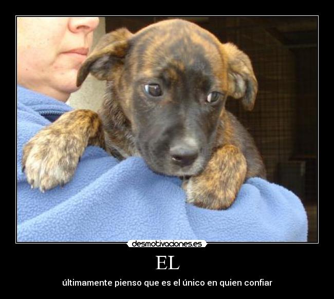 carteles desmotivaciones