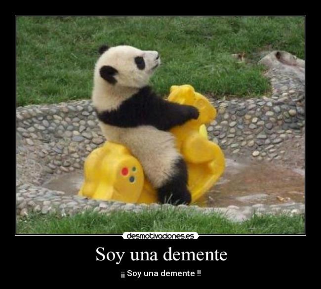 carteles sorry for party rocking grande elvisa adsdasdas imaxi desmotivaciones