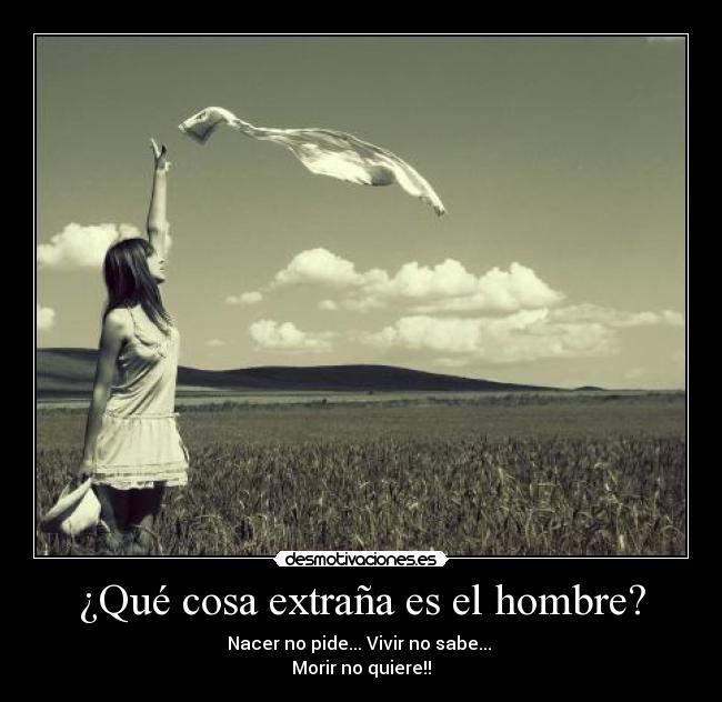 carteles  desmotivaciones