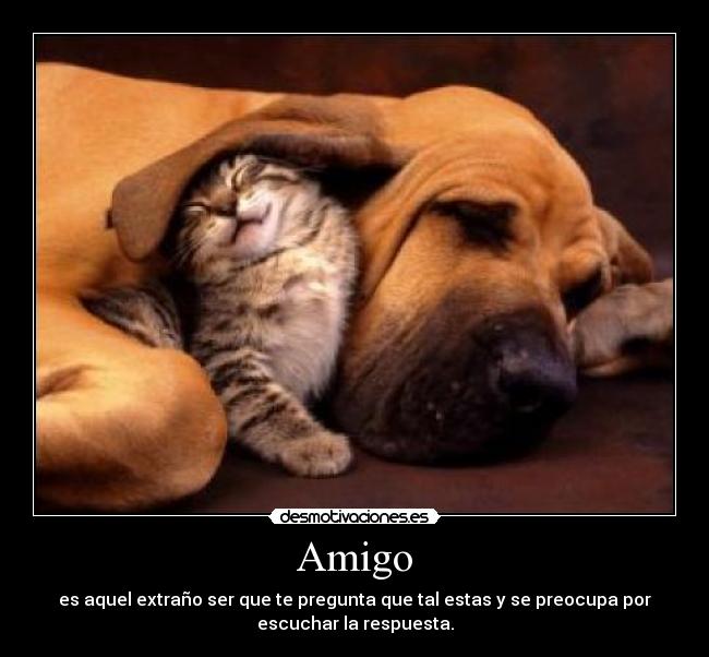 Amigo - es aquel extraño ser que te pregunta que tal estas y se preocupa por
escuchar la respuesta.
