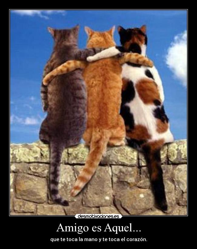 Amigo es Aquel... - que te toca la mano y te toca el corazón.