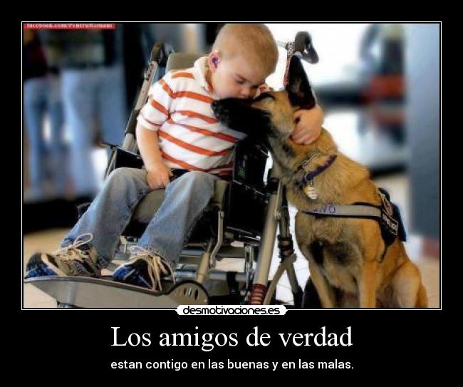 Los amigos de verdad - estan contigo en las buenas y en las malas.