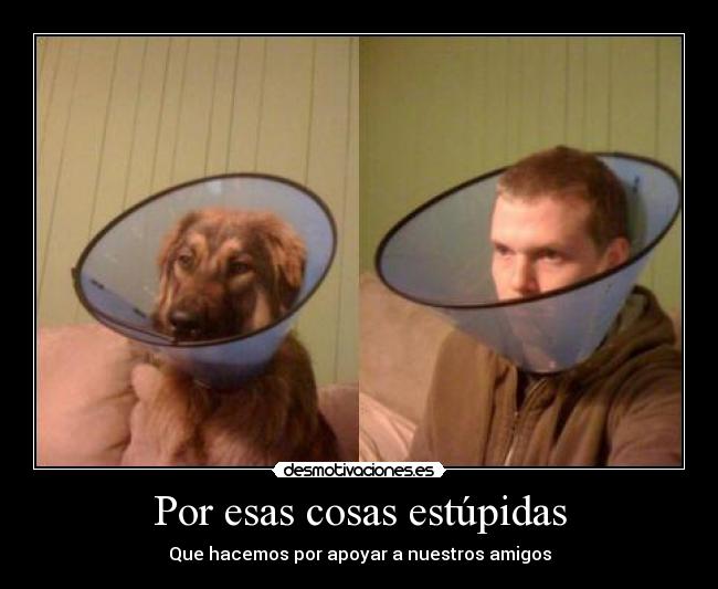 Por esas cosas estúpidas -