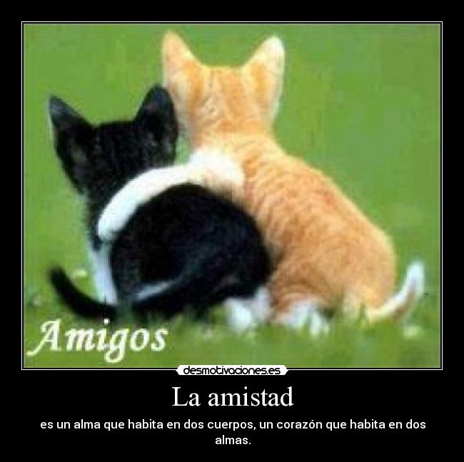 La amistad - es un alma que habita en dos cuerpos, un corazón que habita en dos almas.