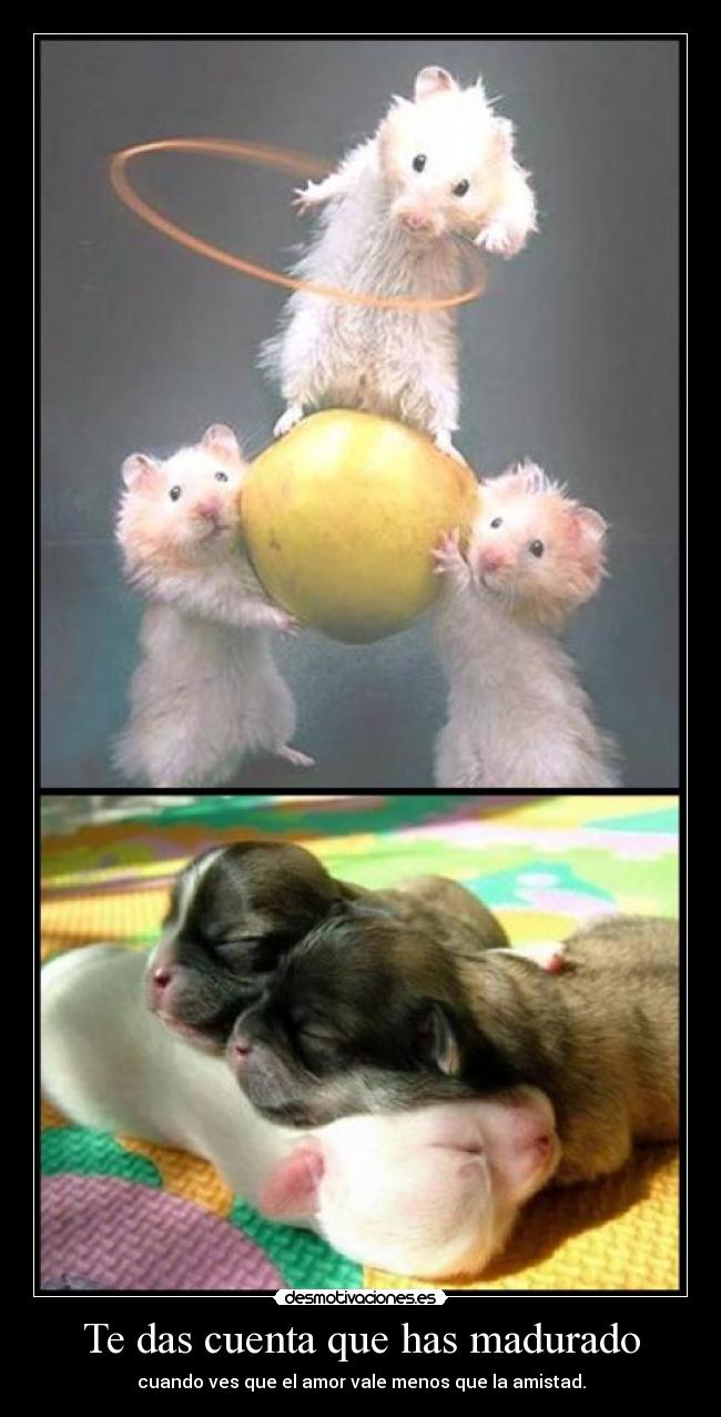 Te das cuenta que has madurado - cuando ves que el amor vale menos que la amistad.