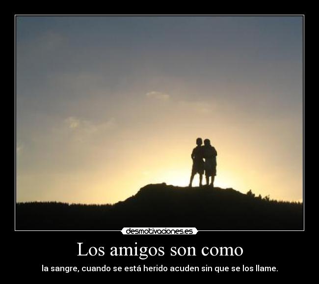 Los amigos son como - la sangre, cuando se está herido acuden sin que se los llame.
