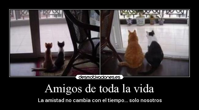 Amigos de toda la vida - La amistad no cambia con el tiempo... solo nosotros