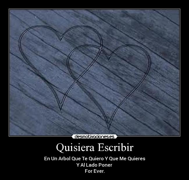 Quisiera Escribir -