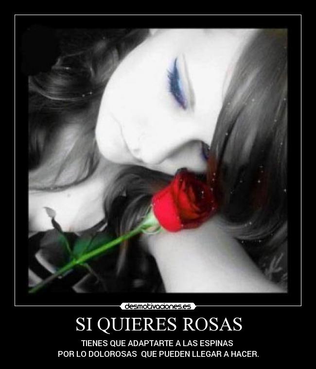 SI QUIERES ROSAS - TIENES QUE ADAPTARTE A LAS ESPINAS
POR LO DOLOROSAS QUE PUEDEN LLEGAR A HACER.