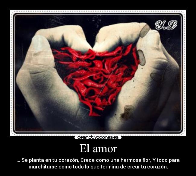 El amor - ... Se planta en tu corazón, Crece como una hermosa flor, Y todo para
marchitarse como todo lo que termina de crear tu corazón.