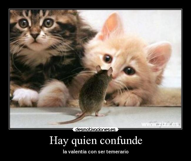 Hay quien confunde -