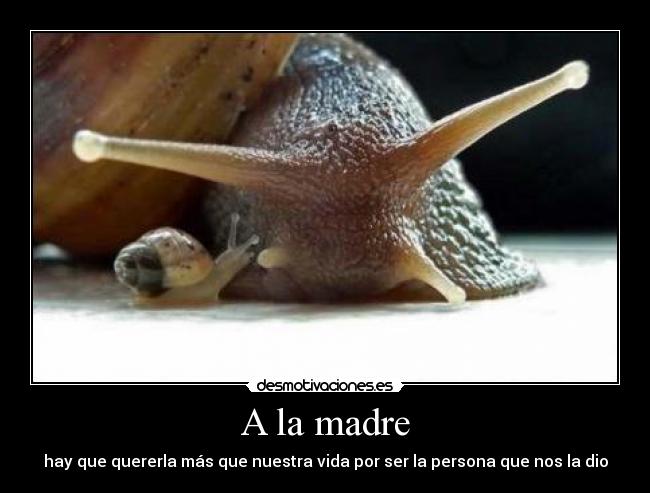 A la madre - 