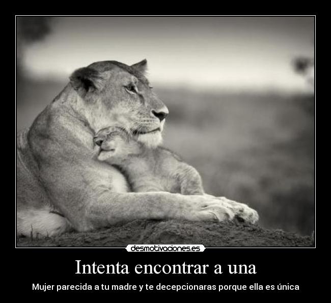 Intenta encontrar a una -