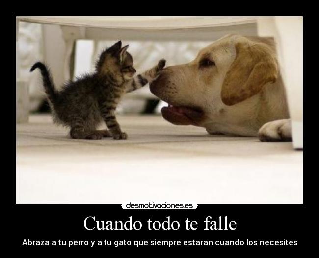 Cuando todo te falle - Abraza a tu perro y a tu gato que siempre estaran cuando los necesites