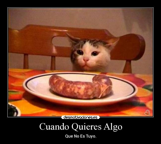 carteles ddd desmotivaciones