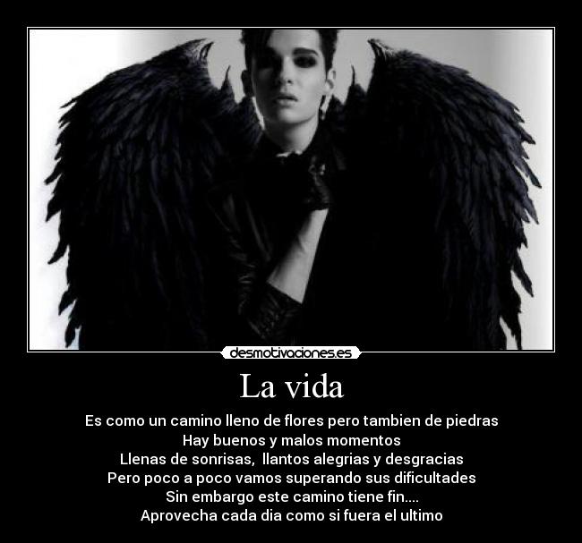 La vida - Es como un camino lleno de flores pero tambien de piedras
Hay buenos y malos momentos
Llenas de sonrisas,  llantos alegrias y desgracias
Pero poco a poco vamos superando sus dificultades
Sin embargo este camino tiene fin....
Aprovecha cada dia como si fuera el ultimo