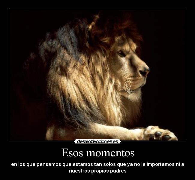 Esos momentos - 