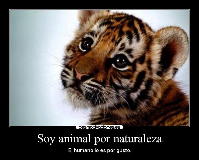 Soy animal por naturaleza -