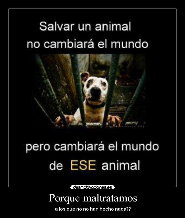 Porque maltratamos - a los que no no han hecho nada??