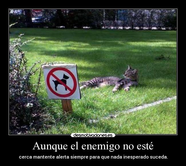 Aunque el enemigo no esté -