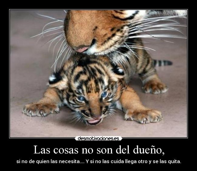 Las cosas no son del dueño, - si no de quien las necesita.... Y si no las cuida llega otro y se las quita.